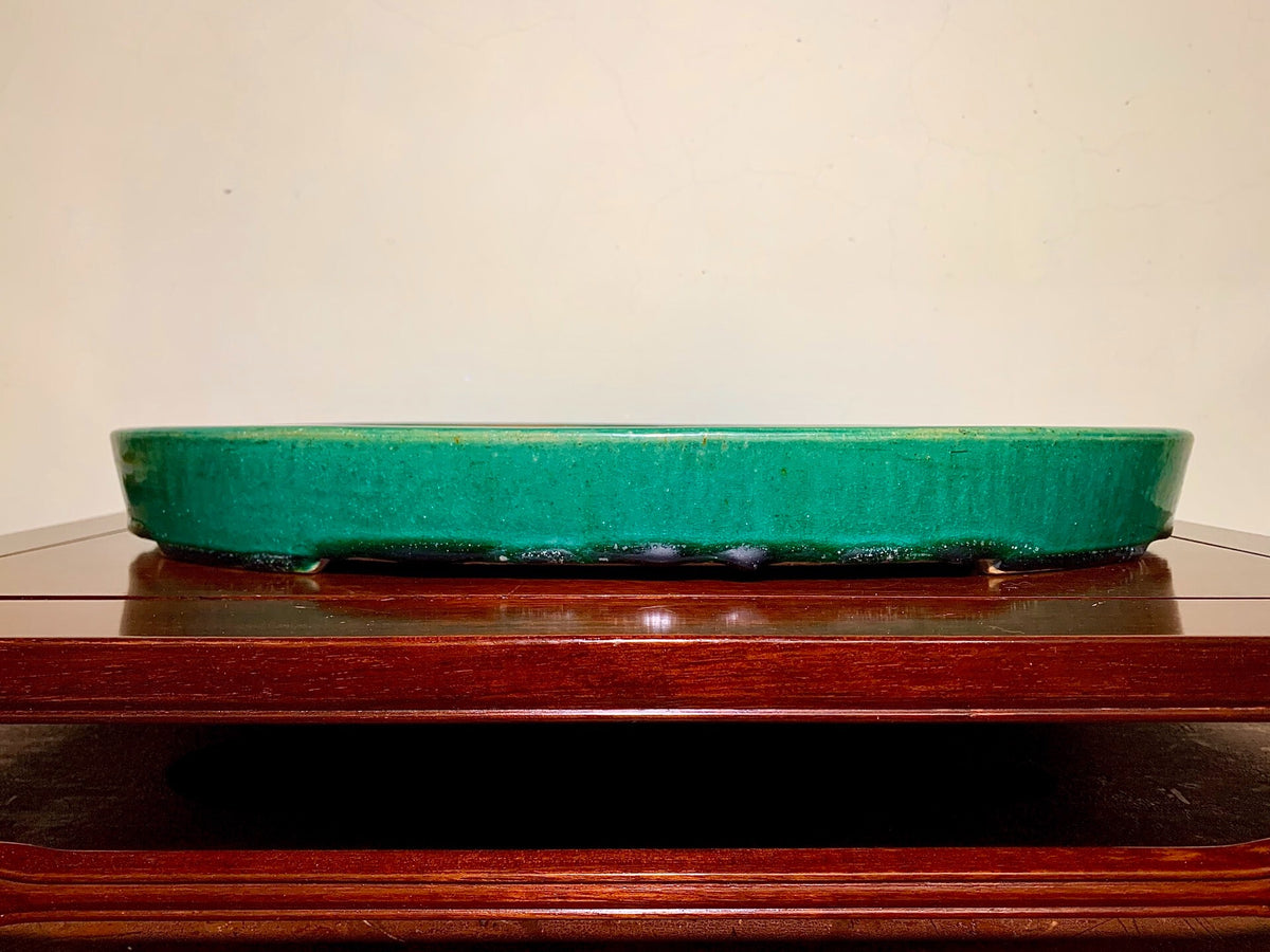 Sen Dai Kōyō Green Glaze Cut-Footed Oval Japanese Pot