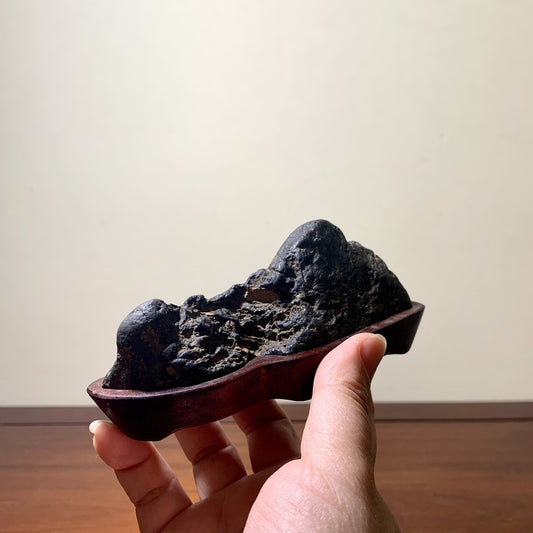 A hand holds a dark, rough-textured rock in a smooth, dark brown wooden dish.