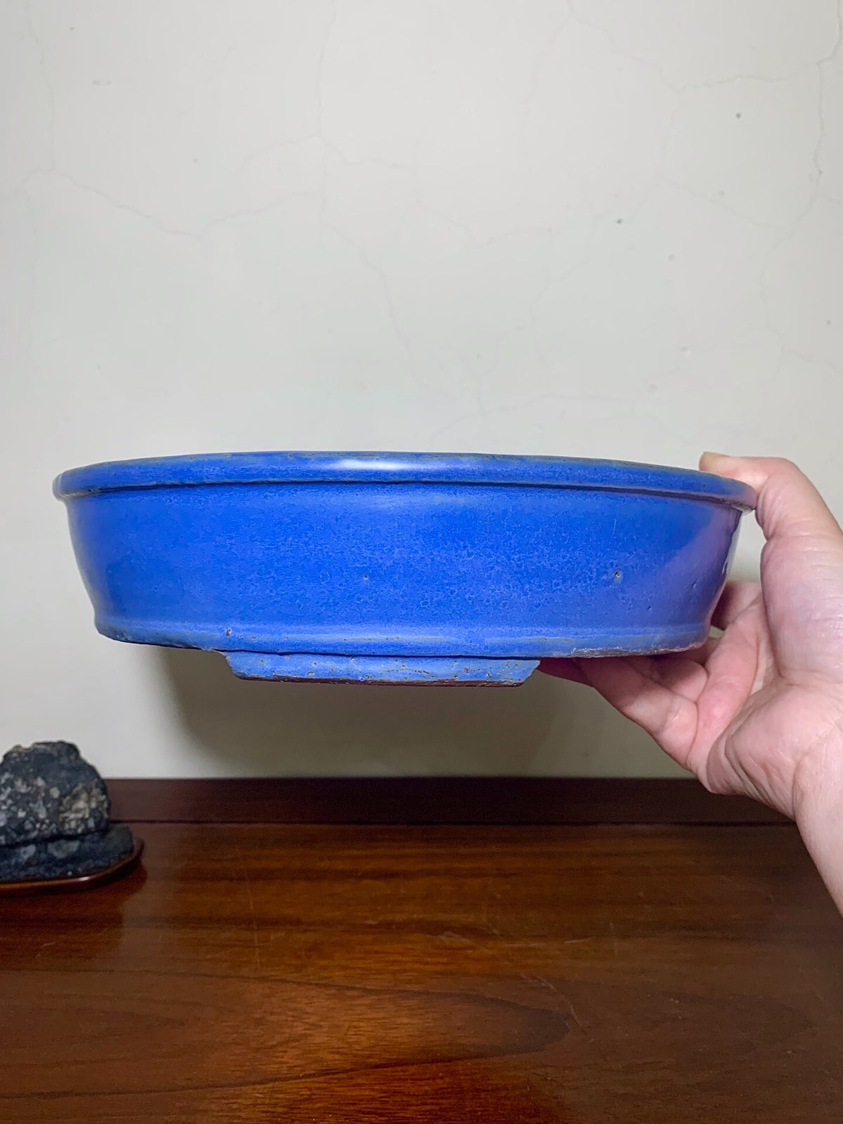 A hand holds a glossy, deep blue ceramic bonsai pot with a wide rim and unglazed base.