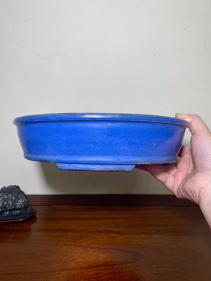 A hand holds a glossy, deep blue ceramic bonsai pot with a wide rim and unglazed base.