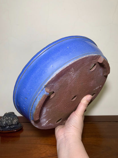 Ruri Kinyo Glaze, Perfect Circle, Japanese Pot by Shuufu