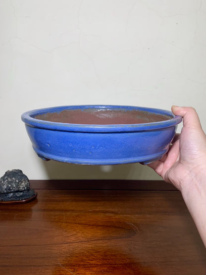 Ruri Kinyo Glaze, Perfect Circle, Japanese Pot by Shuufu