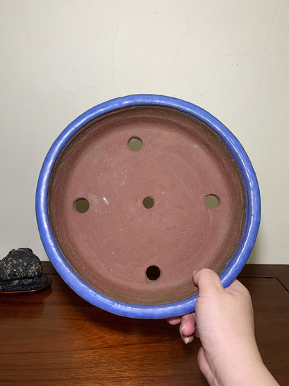 Ruri Kinyo Glaze, Perfect Circle, Japanese Pot by Shuufu