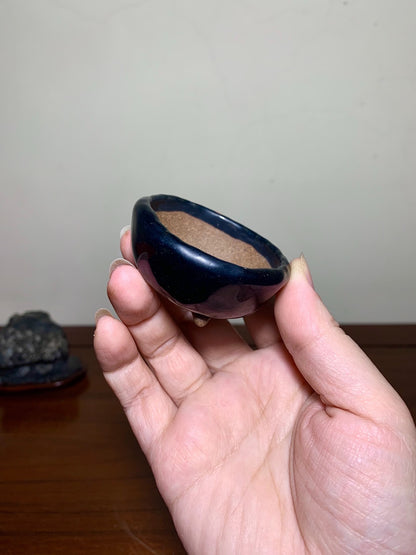 Ruri Blue Glaze Hand-Pinched Three-Footed Japanese Pot by Tenryu Sekisen