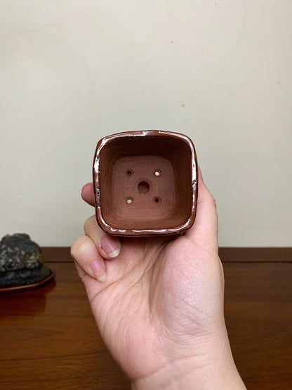 Takumon Senjinjōshu-Zu Japanese Bonsai Pot