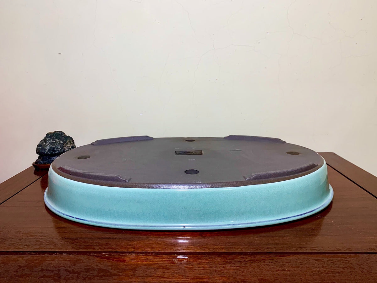 Blue Glaze Outer Rim Oval Maple Tree Pot by Terahata Masayama