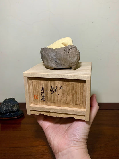 Shudei Red Clay, Hand-Pinched, Relief-Carved Crab, Japanese Bonsai Pot by Rin Tōsaku