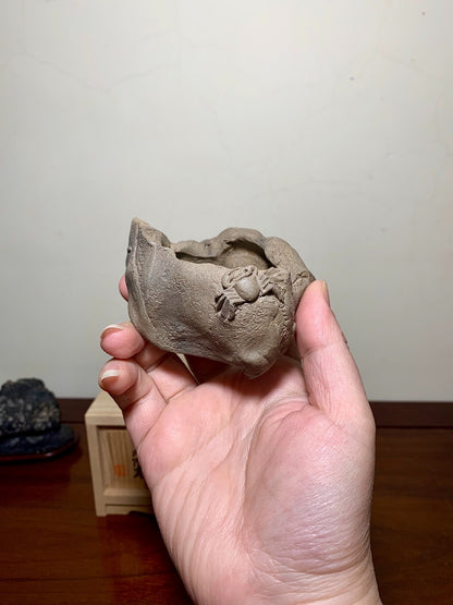Shudei Red Clay, Hand-Pinched, Relief-Carved Crab, Japanese Bonsai Pot by Rin Tōsaku