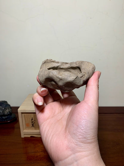 Shudei Red Clay, Hand-Pinched, Relief-Carved Crab, Japanese Bonsai Pot by Rin Tōsaku