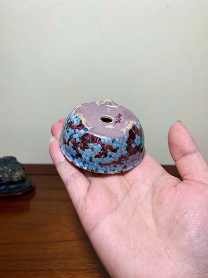 Enamelled Plum Blossom Round Pot by Shunaka
