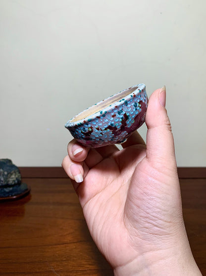 Enamelled Plum Blossom Round Pot by Shunaka