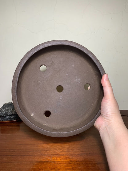 Suzuki Shōzan Handcrafted Custom Item Japanese Bonsai Pot