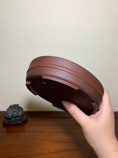 Center Knob Oval Japanese Pot by Shibakatsu