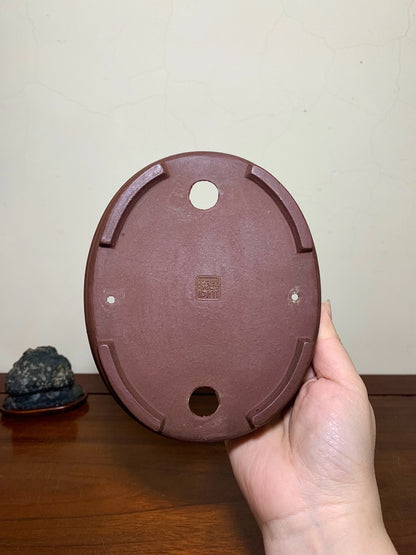 Center Knob Oval Japanese Pot by Shibakatsu