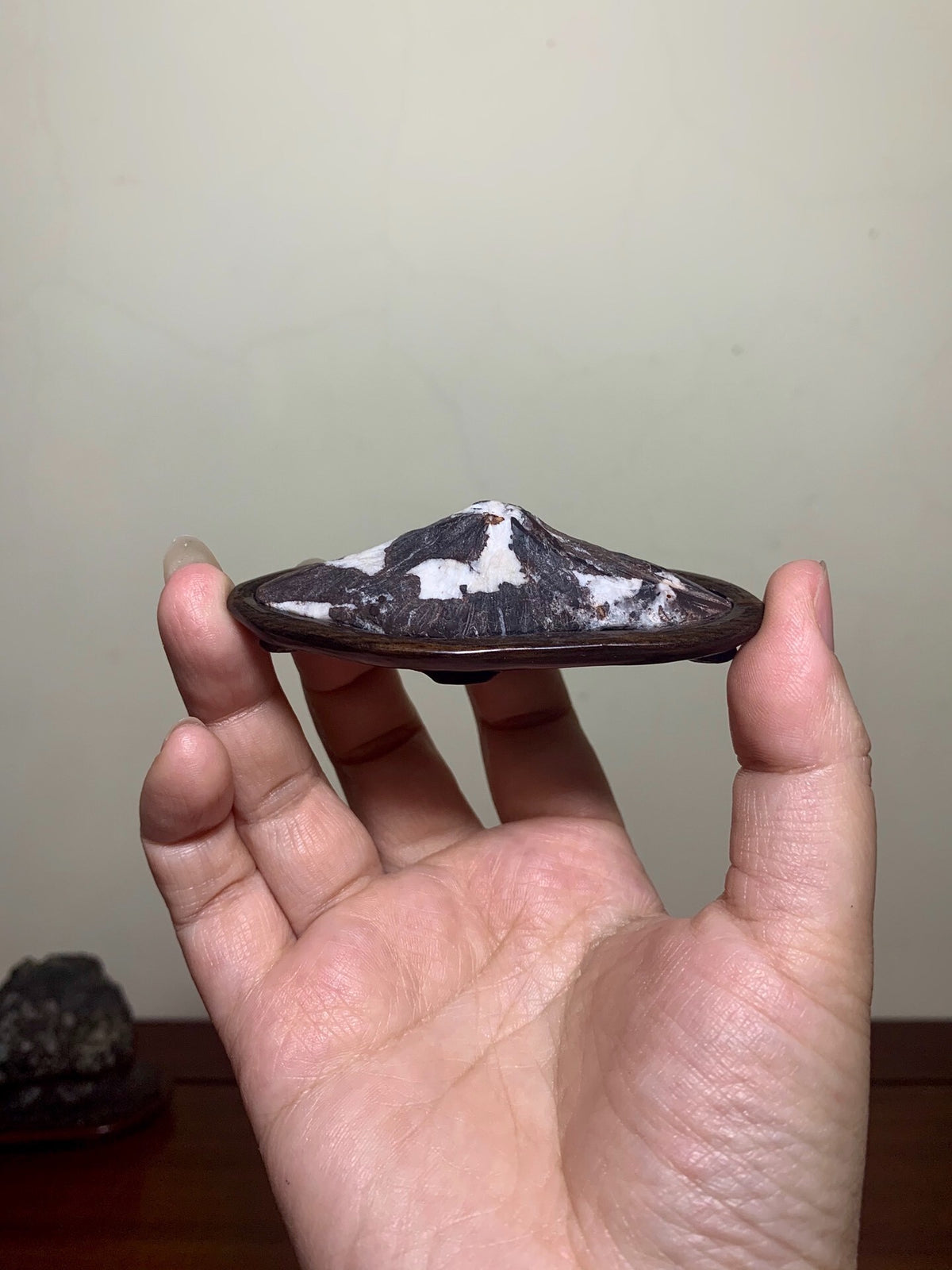 A hand holds a small, dark brown, glossy pot with white and black mottled glaze.