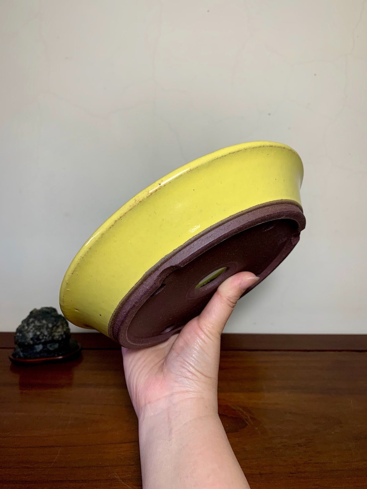 A hand holds a yellow glazed bonsai pot with a brown unglazed base.
