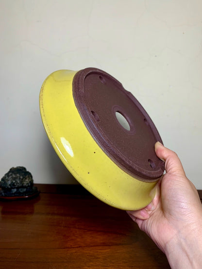 Matsuizan Aki Yellow Glaze Outer Rim Perfectly Round Japanese Pot