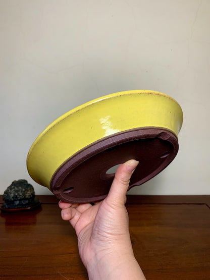 Matsuizan Aki Yellow Glaze Outer Rim Perfectly Round Japanese Pot
