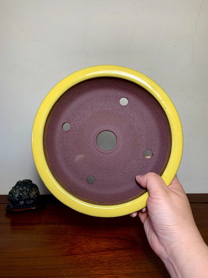 Matsuizan Aki Yellow Glaze Outer Rim Perfectly Round Japanese Pot