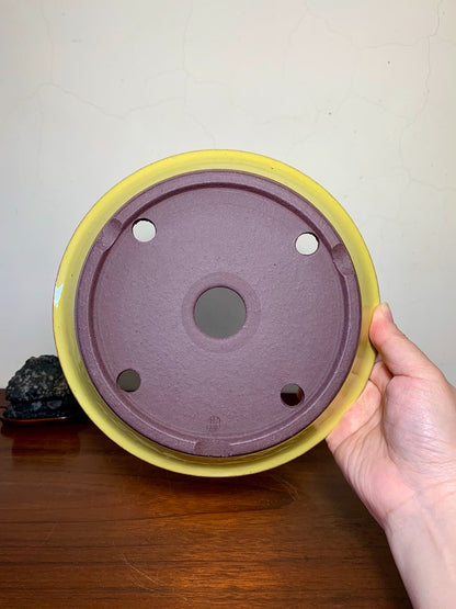 Matsuizan Aki Yellow Glaze Outer Rim Perfectly Round Japanese Pot