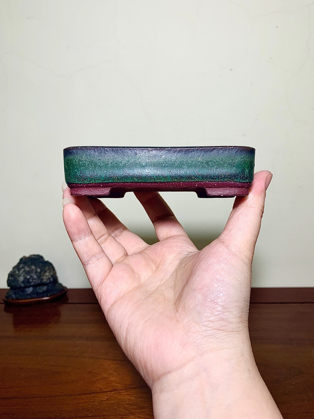 Sendo Kōyō, Showa 51, June, Japanese Bonsai Pot
