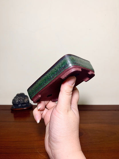 Sendo Kōyō, Showa 51, June, Japanese Bonsai Pot
