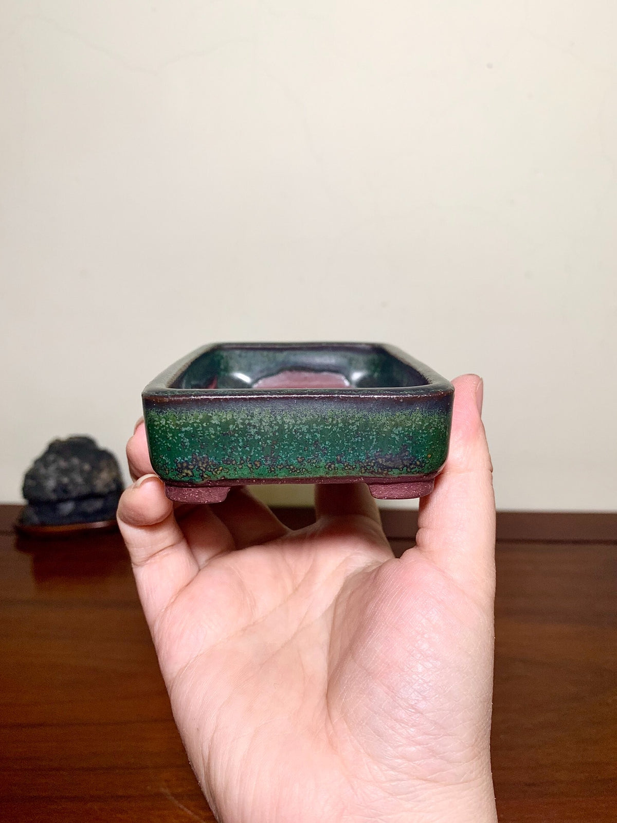 Sendo Kōyō, Showa 51, June, Japanese Bonsai Pot