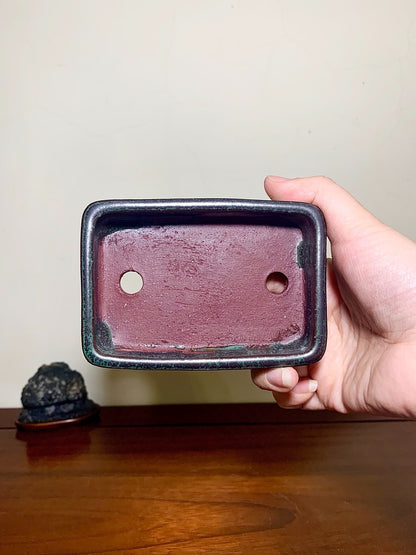 Sendo Kōyō, Showa 51, June, Japanese Bonsai Pot
