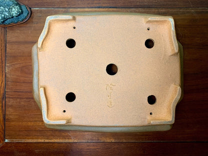 Purple Clay, Large Omoto Pot, Cut Feet, Lower Band, Rectangular, Japanese Bonsai Pot by Kobasaki Takashi