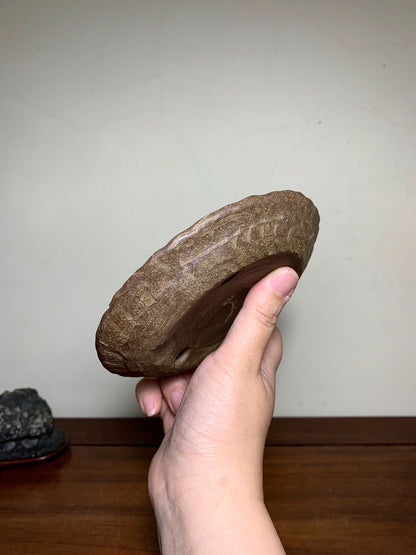 Man'kō Shūzan Hand-Pinched Round Pot