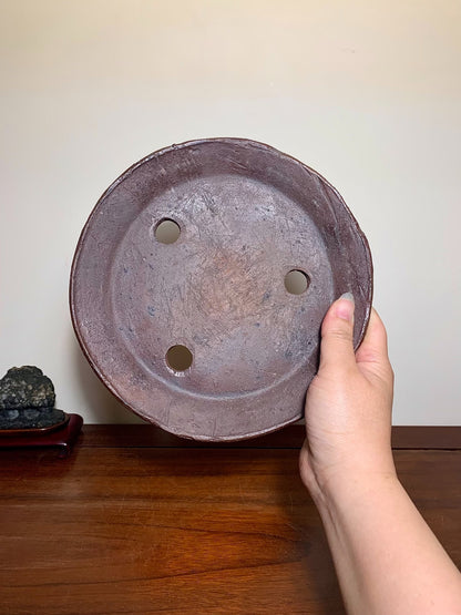 Matsumoto Reikō, Kodama Sōda Kai Kinen Bonsai Pot