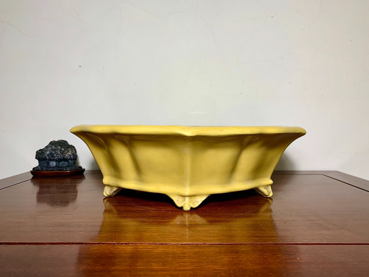 Yellow Glaze Lower Band Cloud Feet Antique Mirror-Rim Floral Japanese Pot by Shuufu