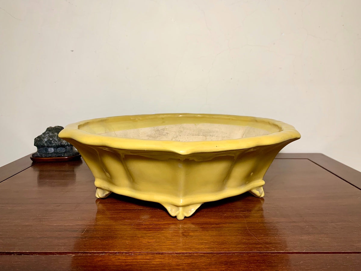 Yellow Glaze Lower Band Cloud Feet Antique Mirror-Rim Floral Japanese Pot by Shuufu