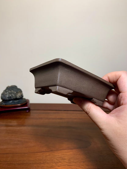A hand holds a matte, dark brown rectangular bonsai pot with a slightly raised rim and four feet.