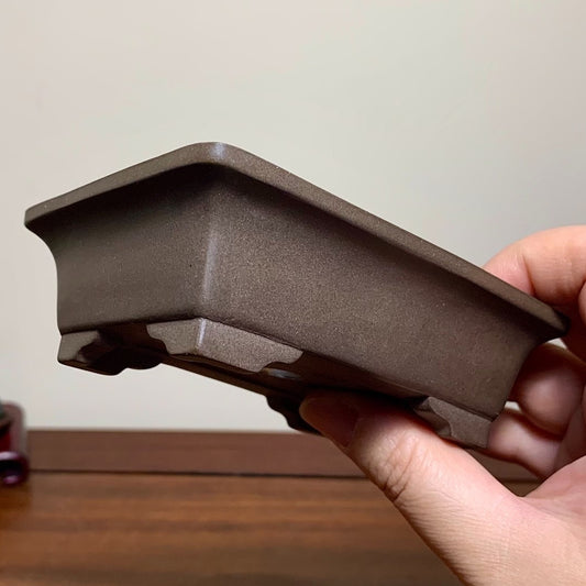 A hand holds a matte, dark brown rectangular bonsai pot with a slightly raised rim and four feet.