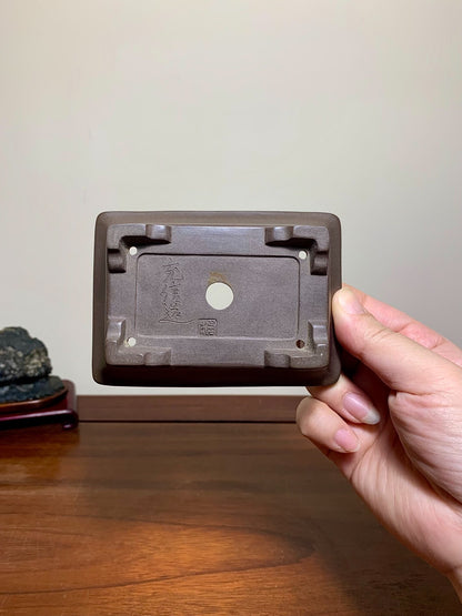 Tachibana Mitsuyuki, Outer Rim Lower Band Rectangular, Japanese Pot