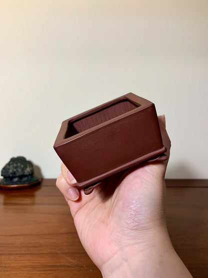 Shunto Seifū Shudei Lower Band Cloud Feet Square Japanese Flower Pot