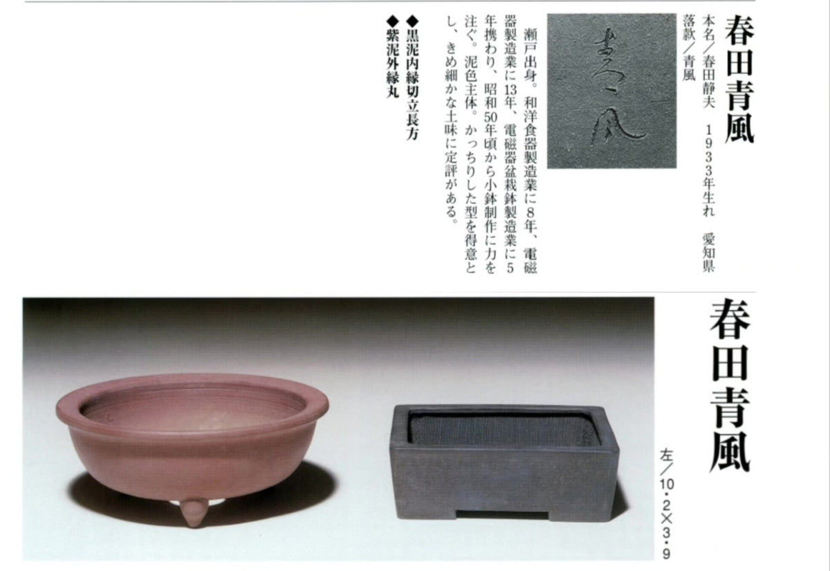 Shunto Seifū Shudei Lower Band Cloud Feet Square Japanese Flower Pot