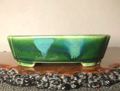 Mashima Rimi Handcrafted Japanese Bonsai Pot
