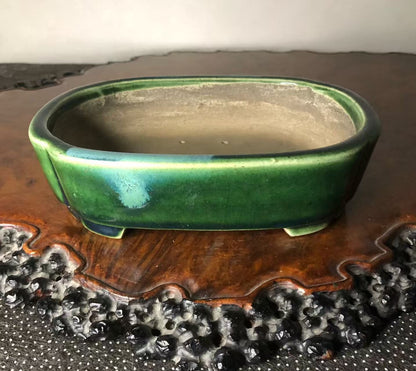 Mashima Rimi Handcrafted Japanese Bonsai Pot