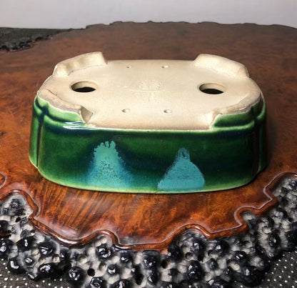 Mashima Rimi Handcrafted Japanese Bonsai Pot