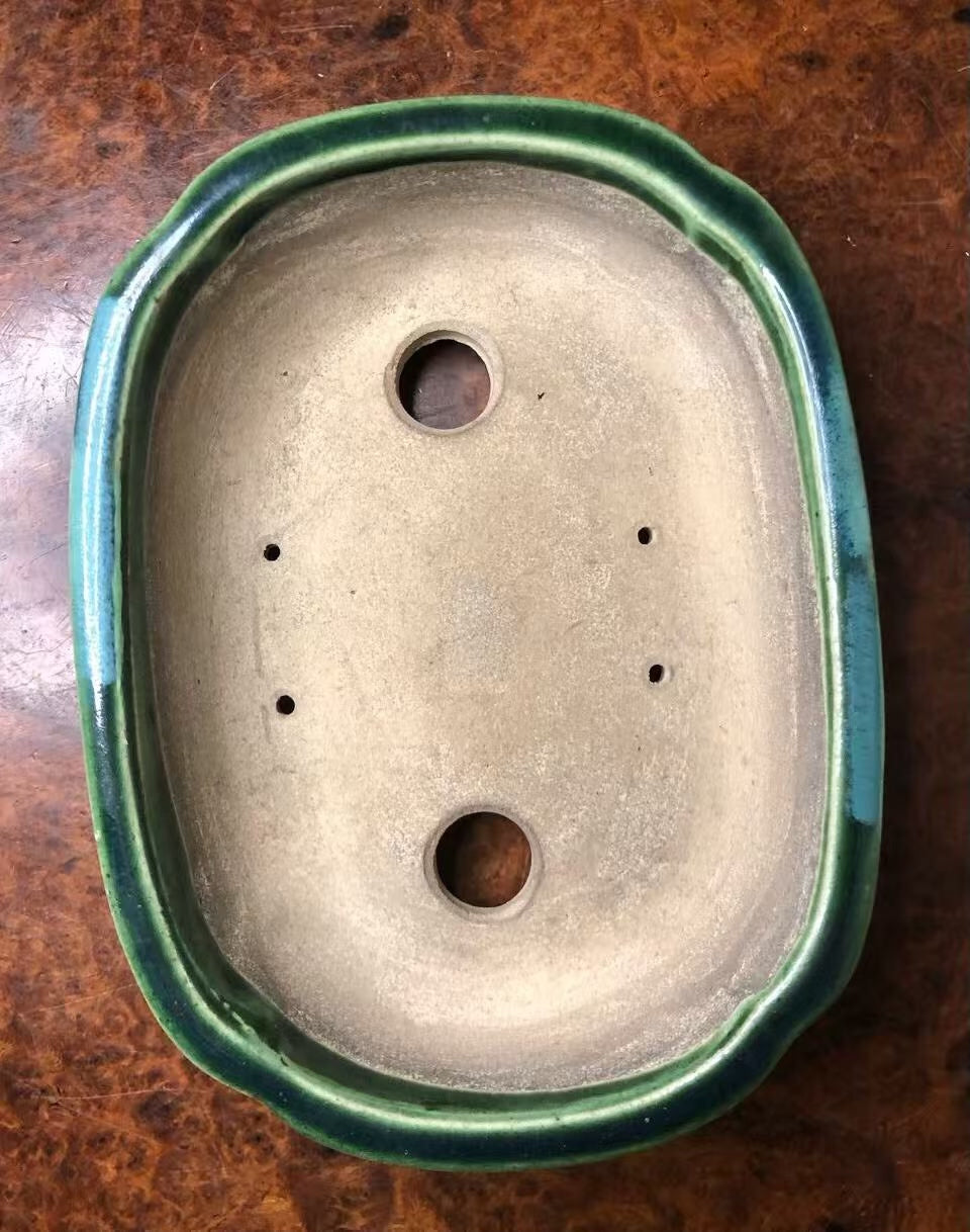 Mashima Rimi Handcrafted Japanese Bonsai Pot