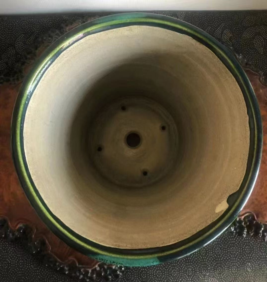 Shido Rimi Handcrafted Japanese Bonsai Pot