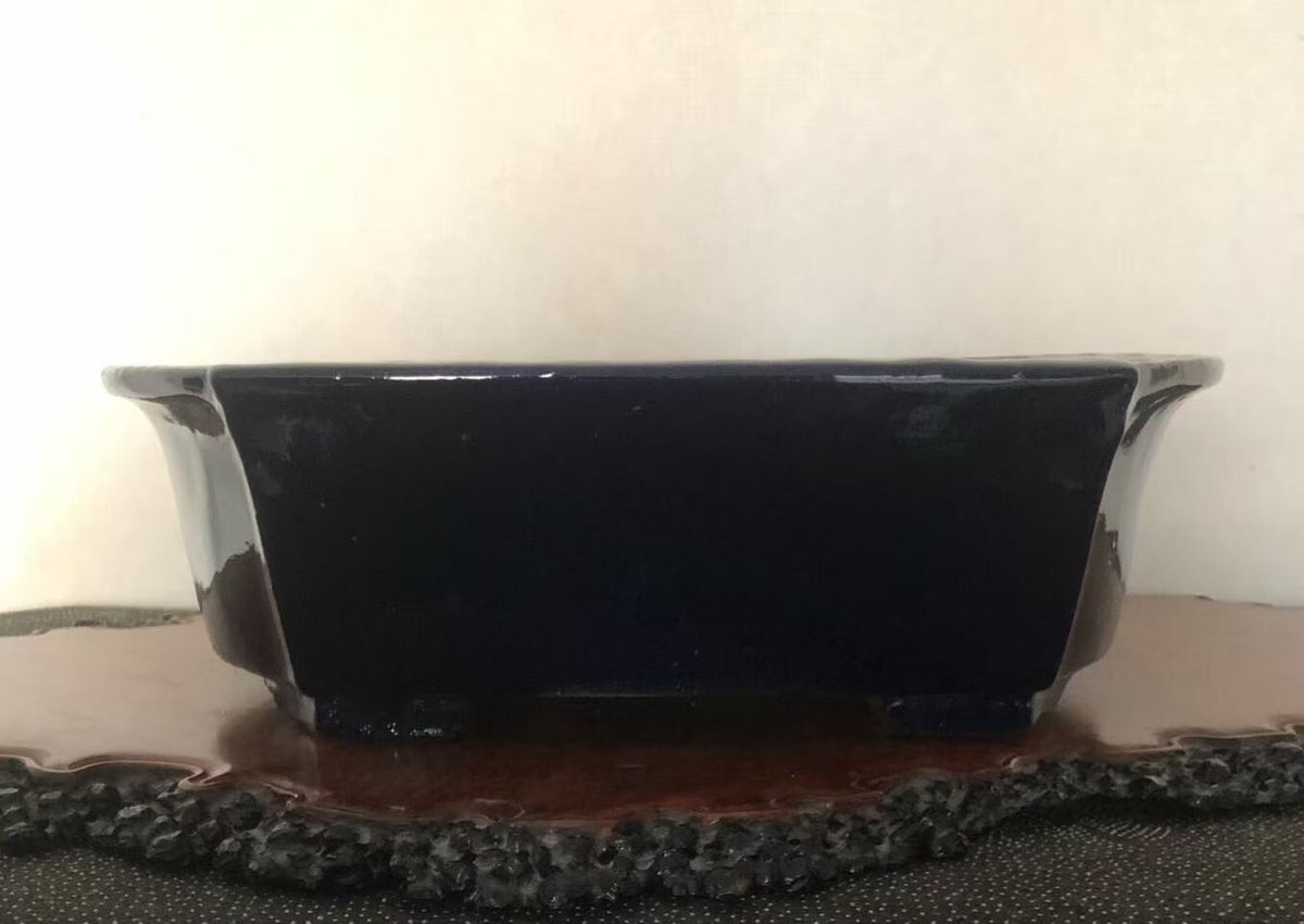 A glossy black rectangular pot with slightly curved sides rests on a wooden base.