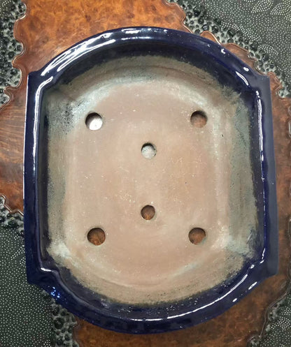 Shuufu, Revised Model 1964, Shuufu Pot