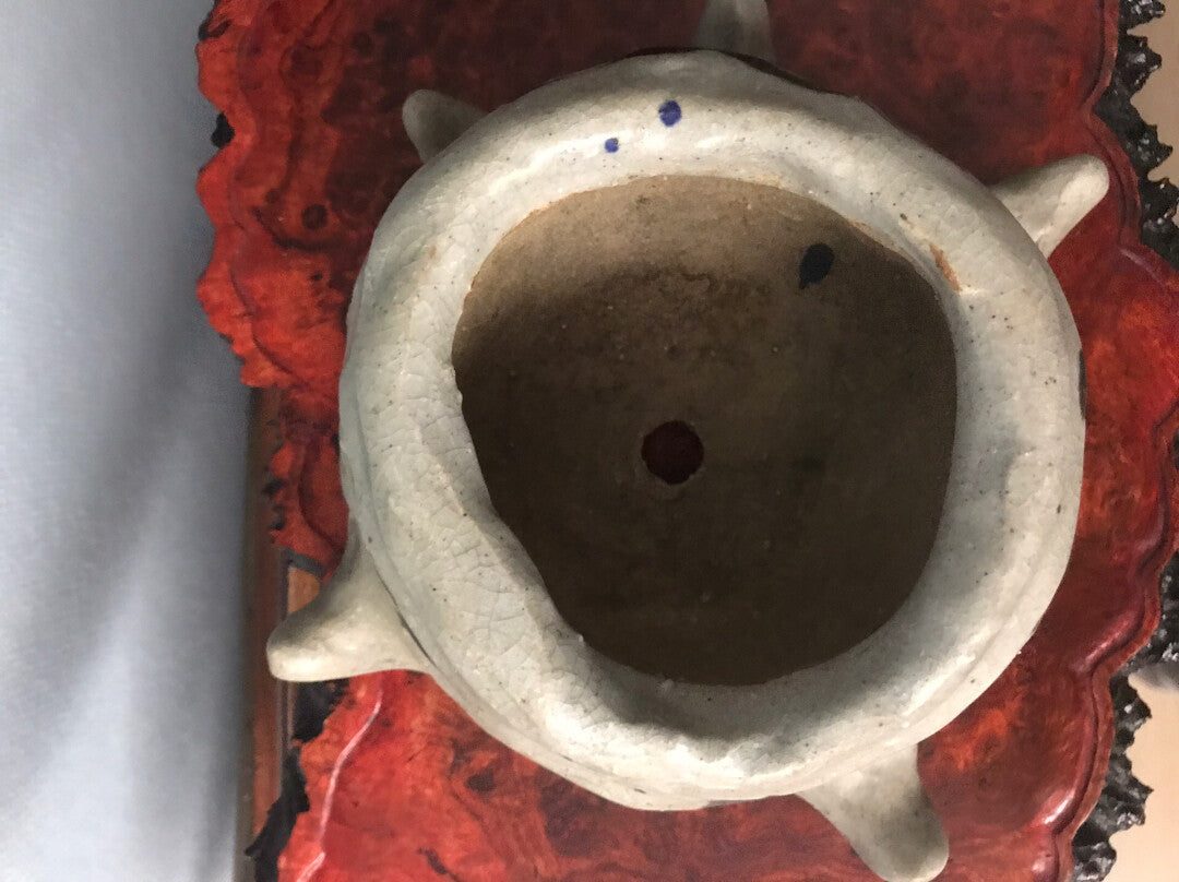 Irregular Shape Japanese Named Pot, Irregular Shape Japanese Named Pot