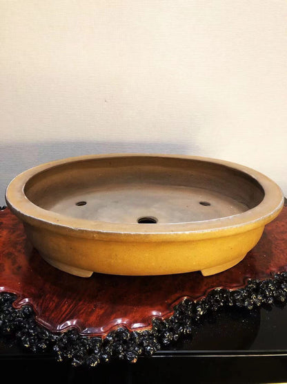 Japanese Bonsai Pots — Fan Benefit