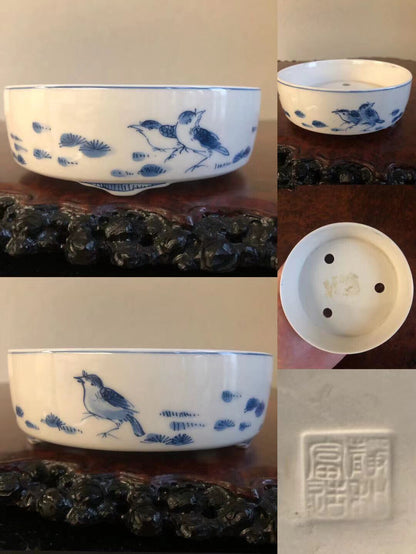 White ceramic bonsai pot with blue bird and pine decoration, glossy finish, three views shown.