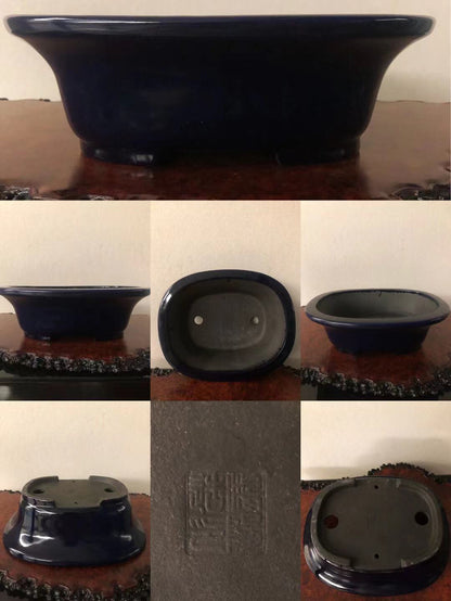 Dark blue glazed ceramic bonsai pot with square base and two drainage holes.