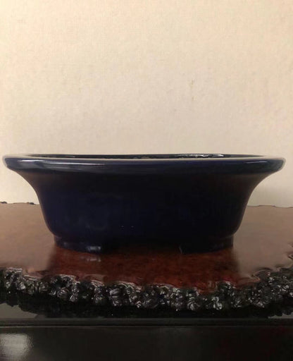 Hongyang, No. 06297612, "Appreciation of Famous Japanese Pots," Made by Hongyang